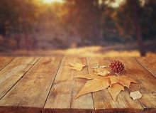 Autumn Background Of Fallen Leaves Over Wooden Table And Forest Backgrond