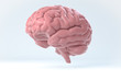 3D Human Brain Isolated Illustration. Science Anatomy Background.