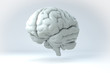 3D Human Brain Isolated Illustration. Science Anatomy Background.