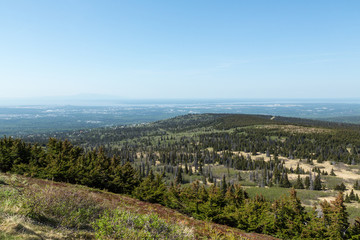 Sticker - Landscape Near Anchorage