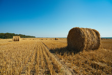 Round Straw Bales In Harvested Fields And Blue Sky 