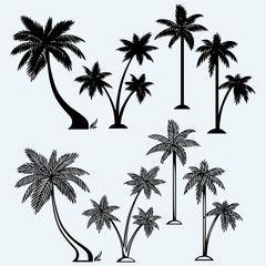 Wall Mural - Silhouette of palm trees. Isolated on blue background