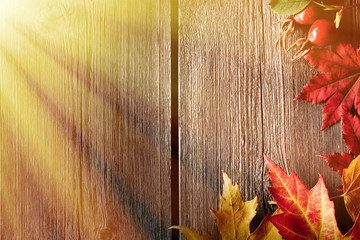 Wall Mural - Autumn maple leaves over wooden background