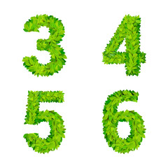 Wall Mural - Latin alphabet font like grass leaves: 3, 4, 5, 6 number