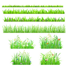 Vector flat isolated seamless grass lines with flower, butterfly