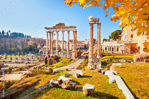 Naklejka na drzwi Roman ruins in Rome, Forum