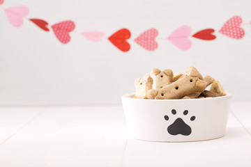 Dog treats on a white bowl