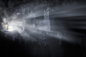 Wall Mural - Medieval castle at night