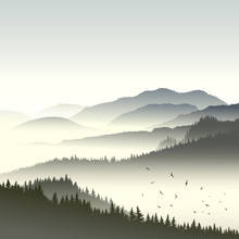 Illustration Of Coniferous Forest On Hills In Fog.