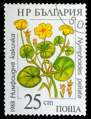 Wall Mural - BULGARIA - CIRCA 1988: a stamp printed in the Bulgaria, shows Wildflowers, series, circa 1988