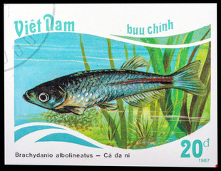 Wall Mural - VIETNAM - CIRCA 1987: a stamp printed in the Vietnam, shows Pearl Danio - Danio albolineatus, series Aquarium fish, circa 1987