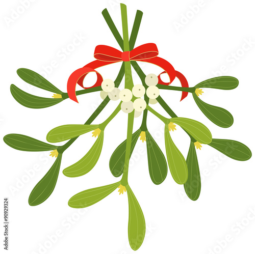 Fotografie, Obraz Mistletoe with red bow and curly ribbon, isolated on white background
