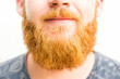 Closeup portrait of a man with ginger beard