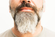 Portrait of a white man´s beard