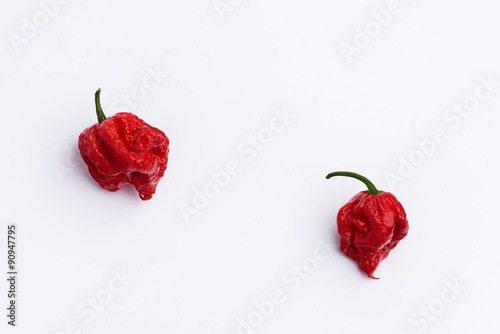 Láminas Two Carolina Reaper Hot Chilli Peppers on white