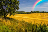 Fototapeta Krajobraz - Rainbow in the sky