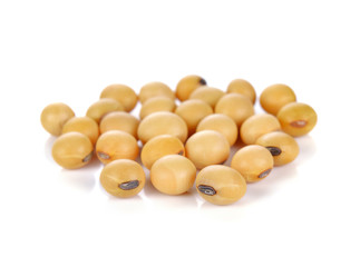 Poster - soy beans on white background.