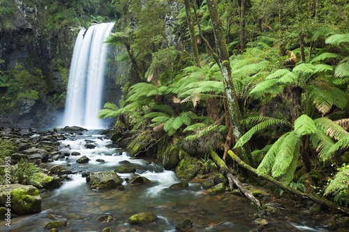 Rainforest waterfalls, Hopetoun Falls, Victoria, Australia
