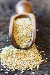 Sticker - Healthy quinoa seeds