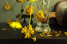 Wilted Yellow Flowers