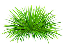 Bunch Of Green Grass. Vector, Isolated On White Background.