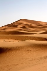  Maroc, Sahara, les dunes