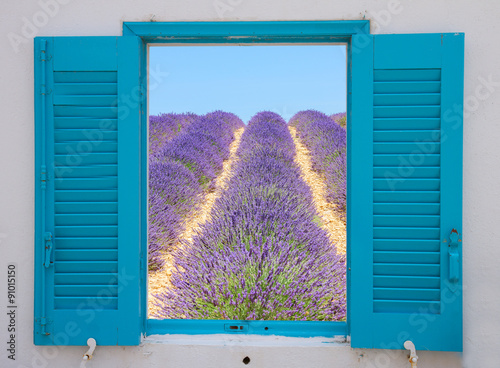 Naklejka na szybę Lavender field