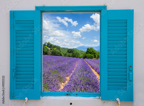 Naklejka dekoracyjna Lavender field