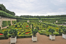 I Giardini Del Castello Di Villandry - Loira, Francia