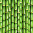 The vector green background made of a bamboo. 