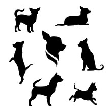 Chihuahua Dog Vector Silhouettes.