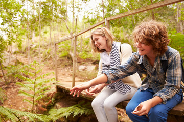 Wall Mural - Siblings sitting on a wooden bridge playing in a forest