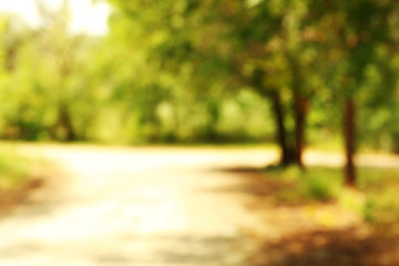 Blurred natural background