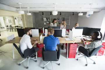 Wall Mural - Young people in the office