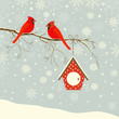 Cute red cardinal bird with birdhouse on branch in winter