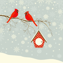 Cute Red Cardinal Bird With Birdhouse On Branch In Winter