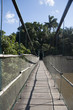 Suspension bridge at Yumka Park. Villahermosa,Tabasco, Mexico.