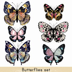 Aufkleber - Set of vector realistic colorful butterflies for design