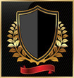 © totallyout - Shield with a golden frame