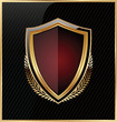 © totallyout - Shield with a golden frame