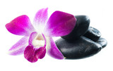 Fototapeta Panele - stones and orchid on the white background