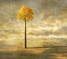 Surreal Landscape With Lonely Tree