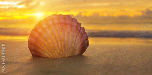 Fotografering Beautiful beach with sunrise background. Focus on sea shell.