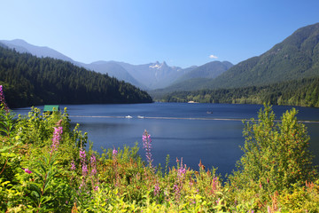Fototapete - Capilano Lake in British Columbia, Canada