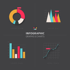 Poster - Set of vector flat design infographic charts and graphs