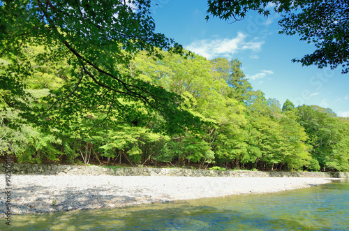 伊勢神宮 五十鈴川 Stock Photo Adobe Stock