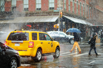 Wall Mural - Winter snowfall in New York