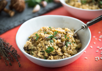 Wall Mural - Mushroom Risotto