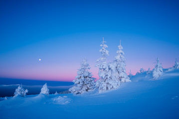 Wall Mural - Winter landscape in the morning