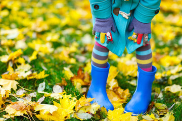 Canvas Print - Colorful autumn